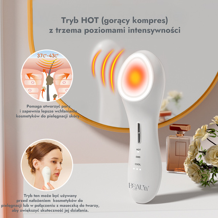 Masażer do twarzy Hot & Cool BL-108